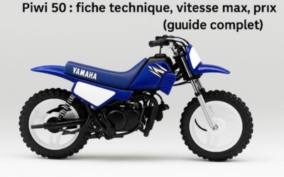 Piwi 50 : fiche technique, vitesse max, prix (guide complet)